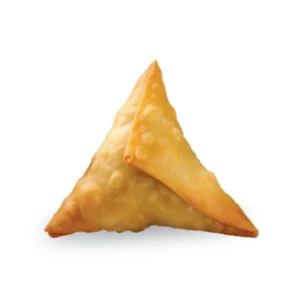 Golden-brown triangular samosa with crispy texture.
