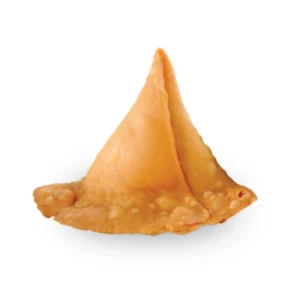 A single triangular samosa with a golden-brown crust.