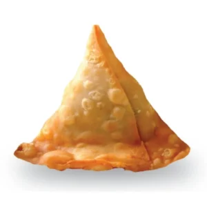 A single golden-brown samosa with a crispy texture.