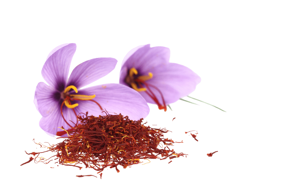 Fresh saffron flowers with vibrant threads on a muted background.